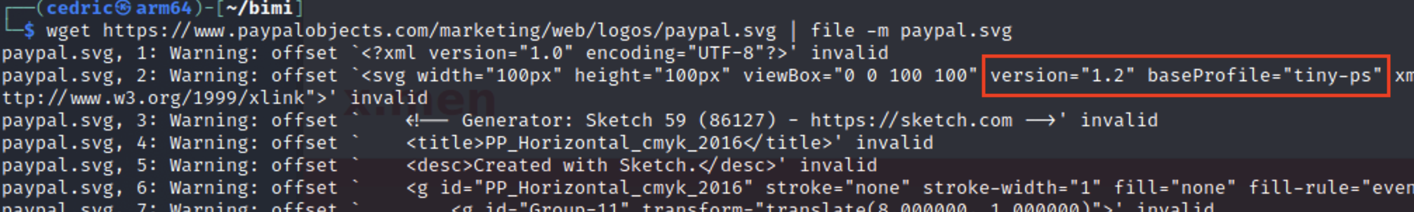 AnalyseSVG.png